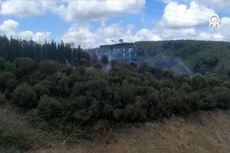 İstanbul'da ormanlık alanda  çıkan yangın söndürüldü haberinin görseli