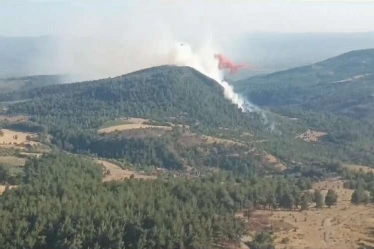 Manisa Soma'da orman yangını! haberinin görseli