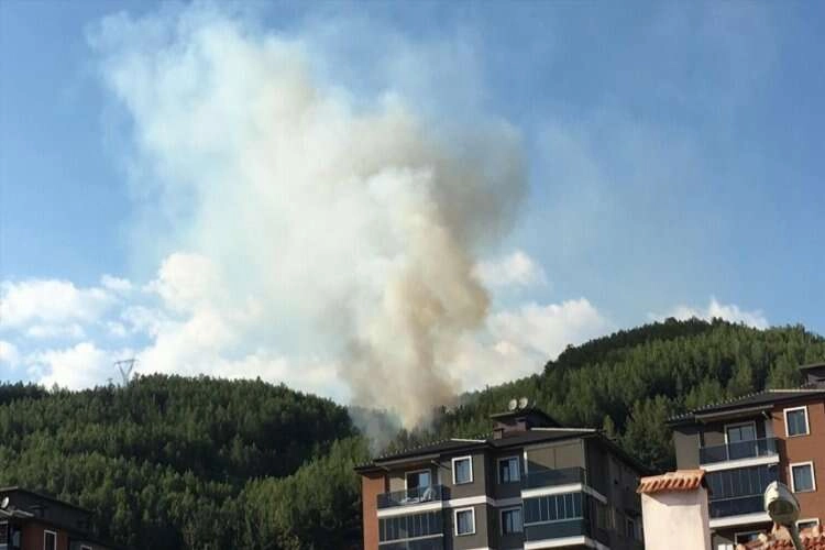 Muğla Menteşe'de orman yangını haberinin görseli