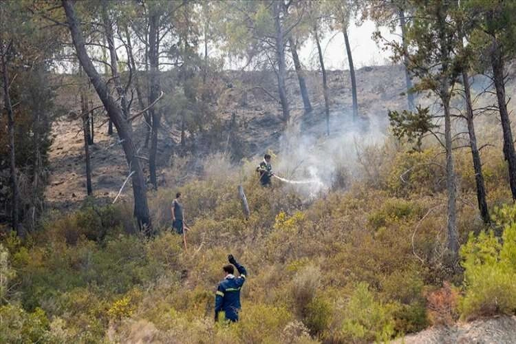 Sakız Adası'ndaki orman yangını kontrol altında haberinin görseli