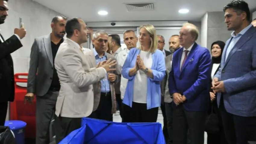 aliağa
