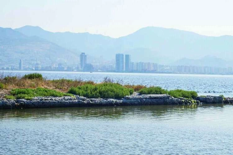 İzmir Körfezi’nde biyolojik çeşitlilik izleme çalışması