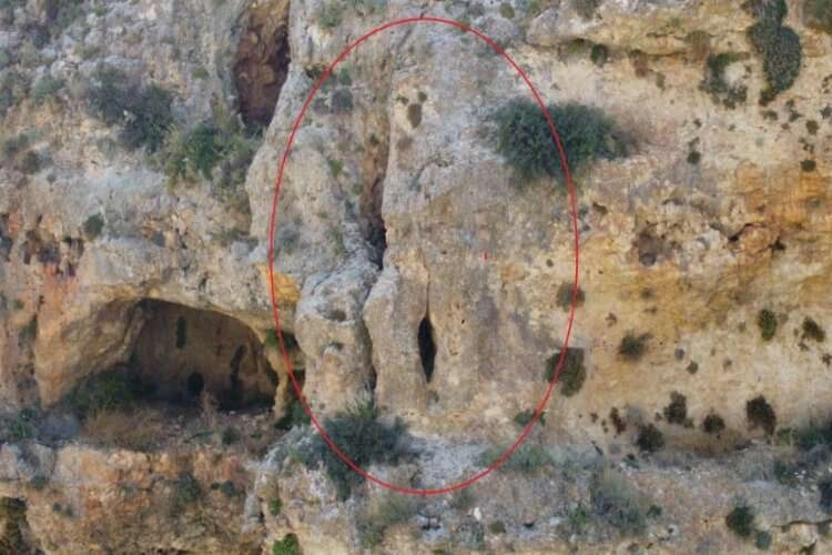Mersin'de ayıyı andıran kaya  haberinin görseli