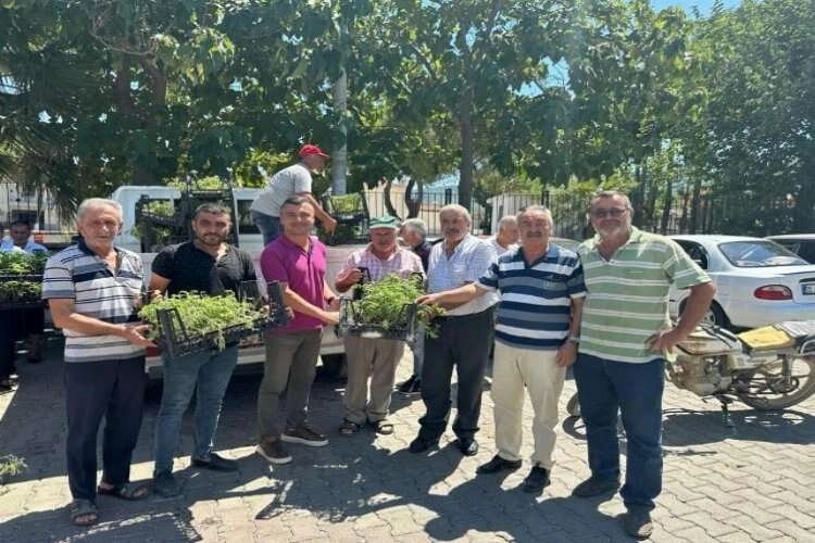 Menderes Belediyesinden üreticiye atalık fide haberinin görseli