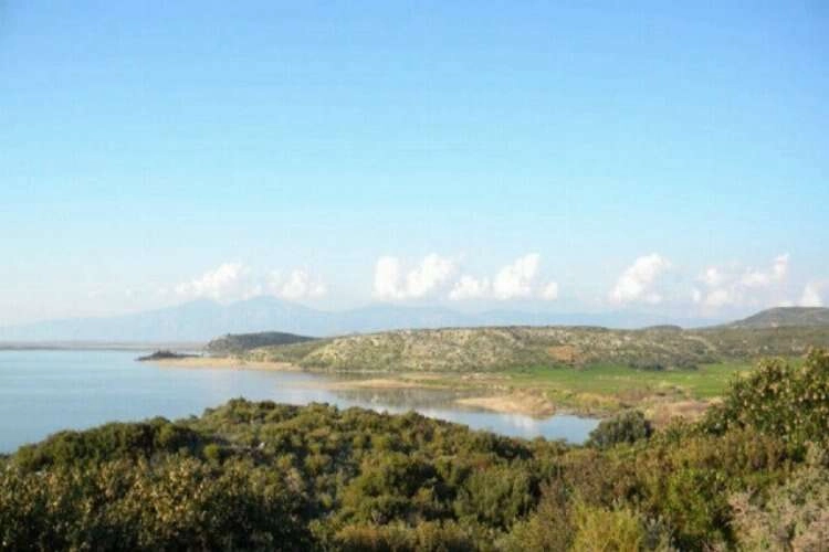 Büyük Menderes Deltası Doğal Sit Alanı korunacak haberinin görseli