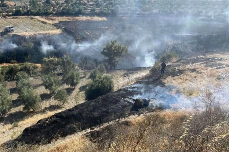 Hatay'da yangın: Müdahaleye başlandı