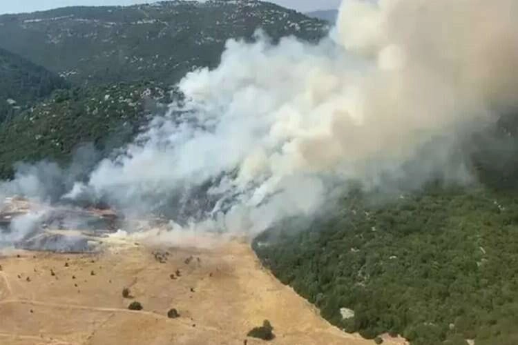 Antalya'da orman yangını: 03/08/2023 haberinin görseli