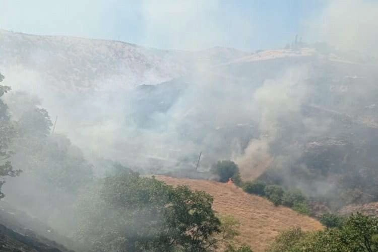 Malatya’da orman yangını çıktı haberinin görseli