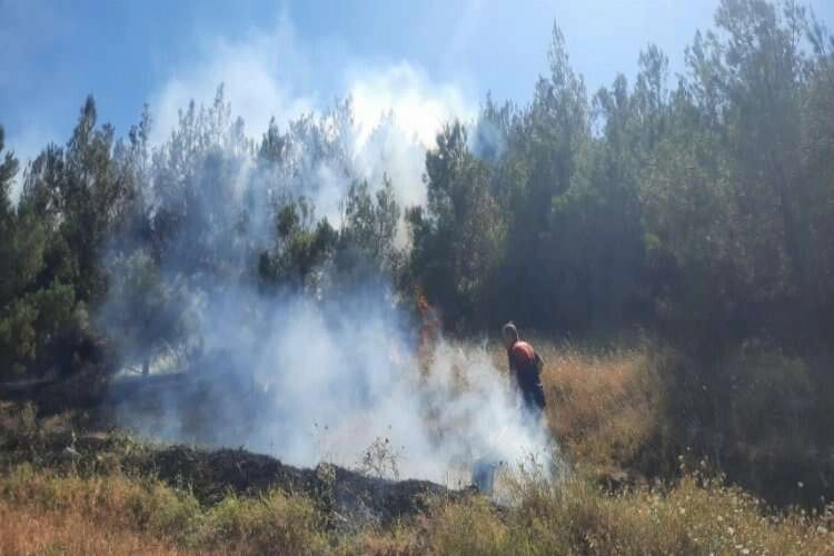 Amasya'da orman yangını çıktı!