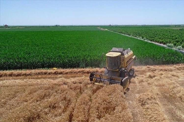 Çiftçilere müjde! Destekleme ödemesi hesaplara yatırılacak