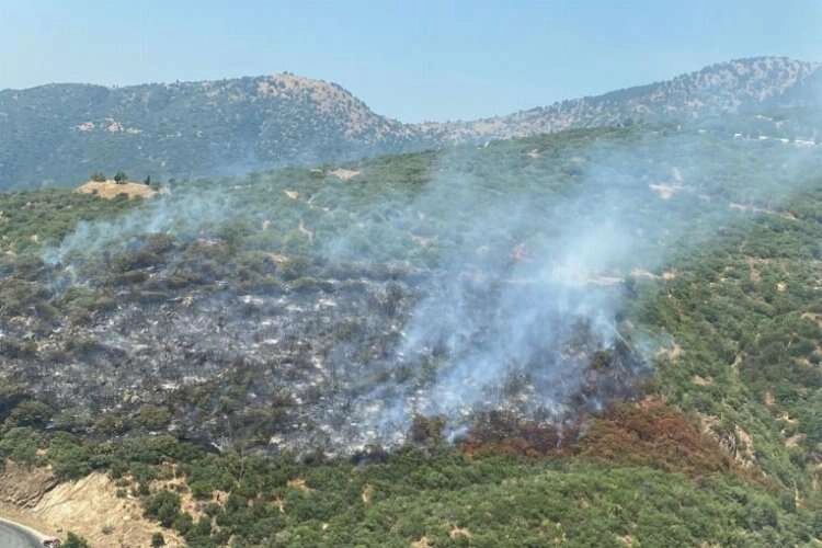 İzmir'de araç yangını ormana sıçradı!