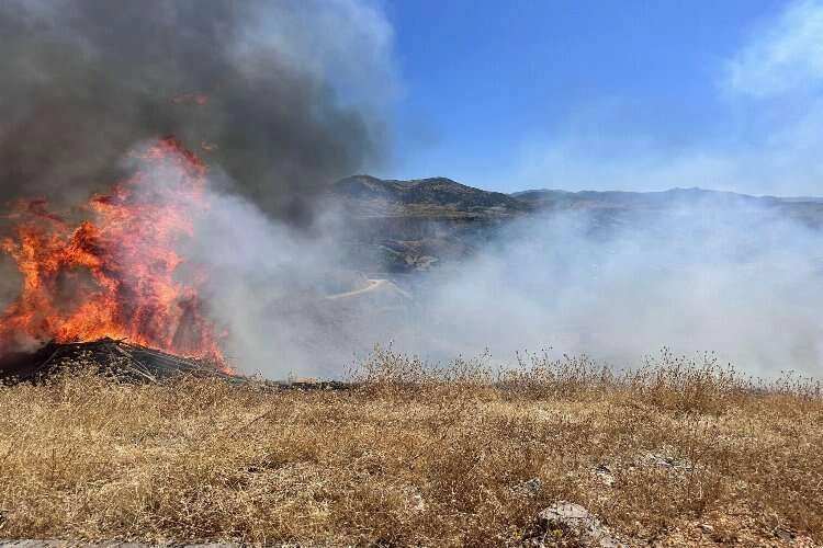 Elazığ'da sigara izmariti tehlikesi: Otluk alan küle döndü