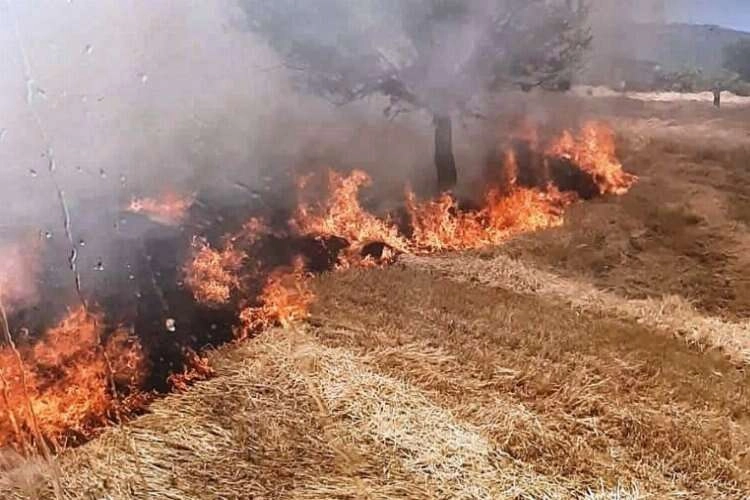 Kütahya'da yangın: Tarla zarar gördü haberinin görseli