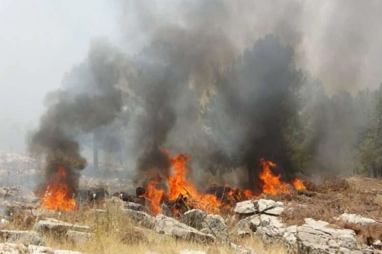 Adıyaman'da yangın: 05/08/2023 haberinin görseli