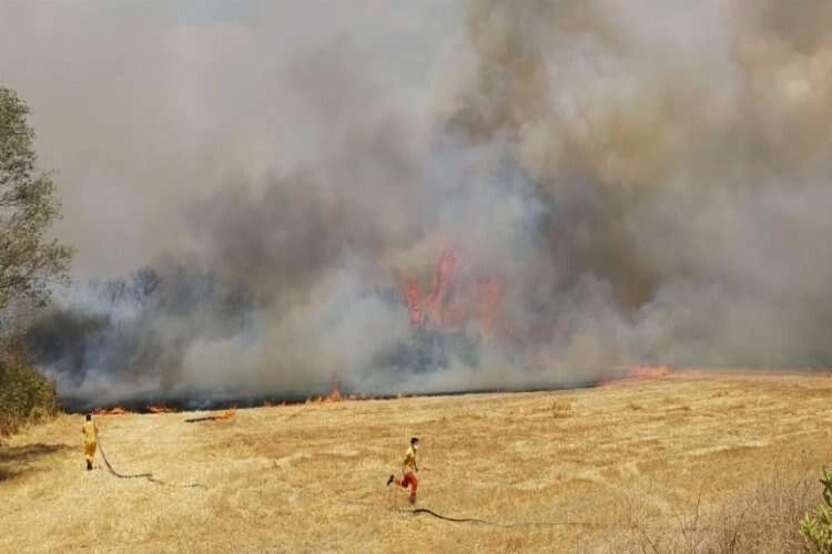 Balıkesir'de yangın: Müdahale devam ediyor