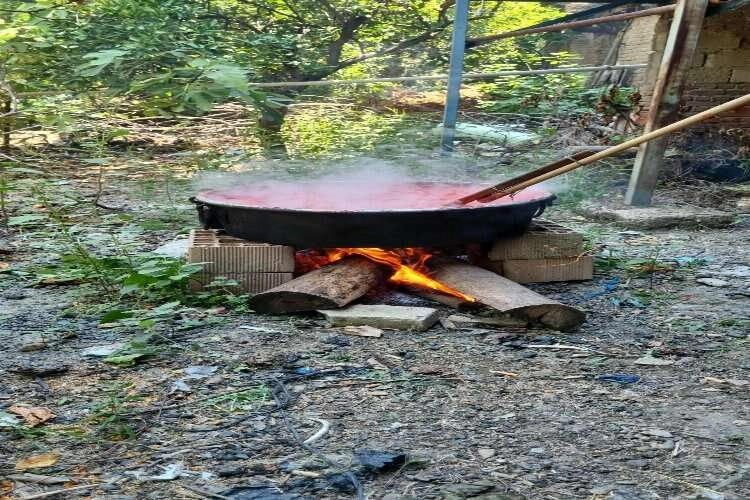 Aydın’da kazanlar kaynadı, salça sezonu başladı haberinin görseli