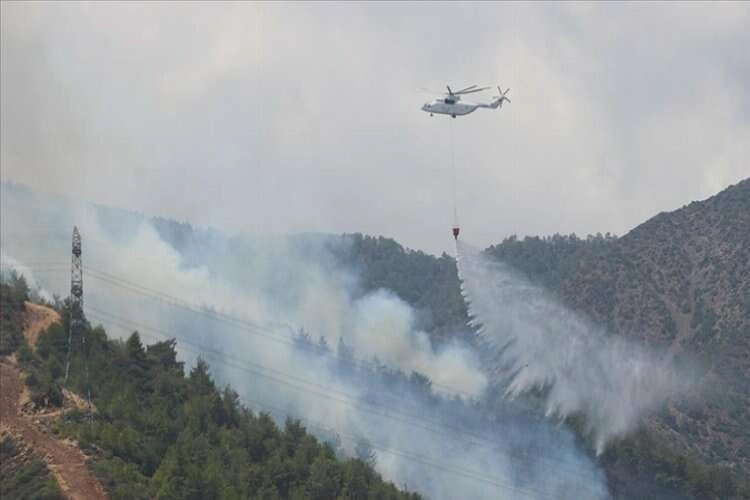 Hatay'da orman yangını başladı: 06/08/2023