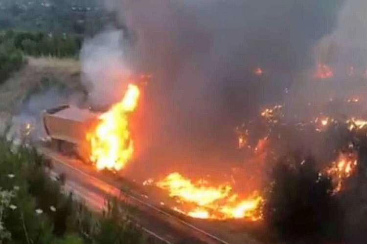 Aydın'da kamyonda çıkan yangın ormana sıçradı