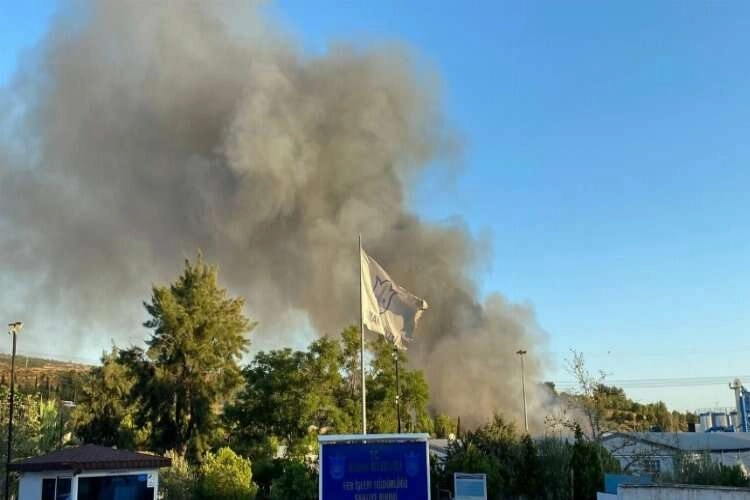 İzmir Buca'da korkutan yangın! haberinin görseli