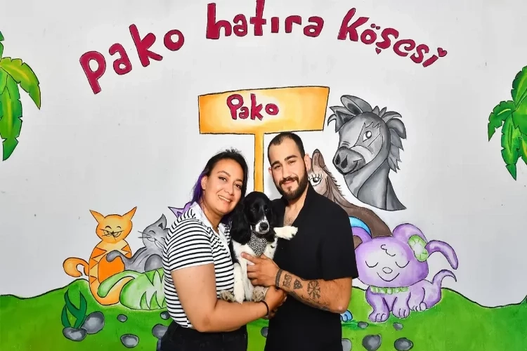 İzmirli gençler depremzede köpeği sahiplendi haberinin görseli
