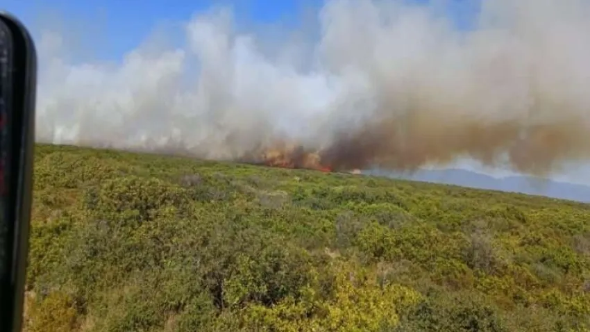 Aydın Didim’de makilik alan yangını! haberinin görseli