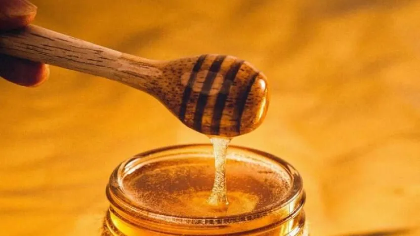 Bal sektörünün önündeki en büyük engel: Tekelleşme!