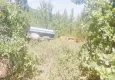 Afyonkarahisar'da ağaçlık alana traktör devrildi