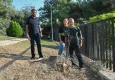 İzmir'de belediye ekiplerinin ağaç kesmesi tepki topladı