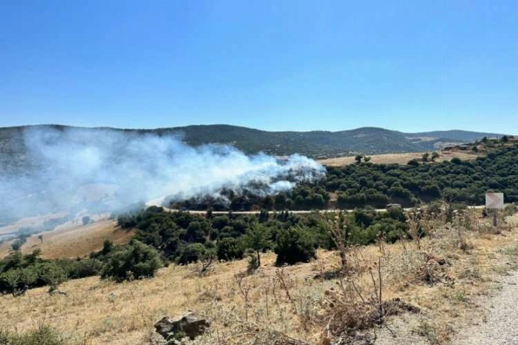 Manisa'da peş peşe orman yangını: 08/08/2023 haberinin görseli