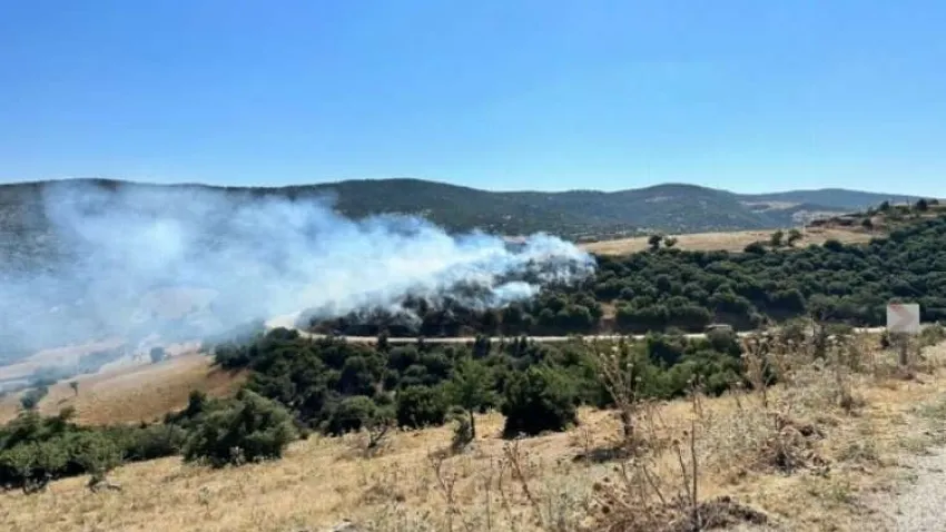Manisa'da peş peşe orman yangını: 08/08/2023 haberinin görseli