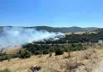 Manisa'da peş peşe orman yangını: 08/08/2023