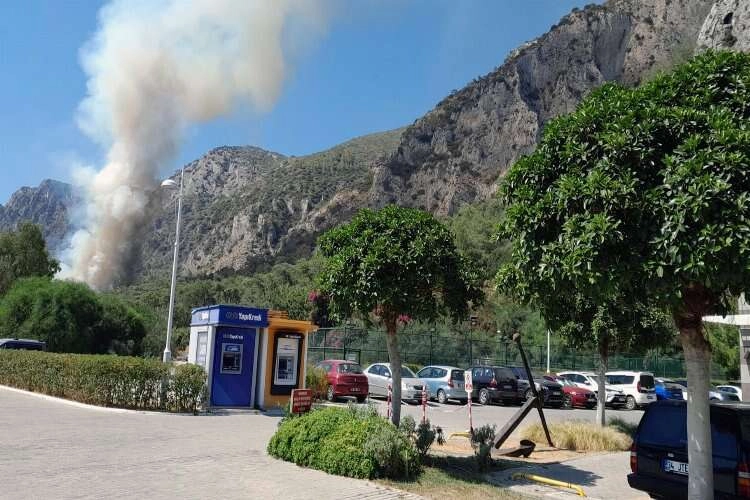 Muğla Milas’ta orman yangını! haberinin görseli