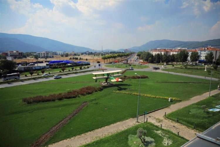 Muğla'da çok sayıda ağaç toprakla buluştu   haberinin görseli