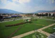 Muğla'da çok sayıda ağaç toprakla buluştu  