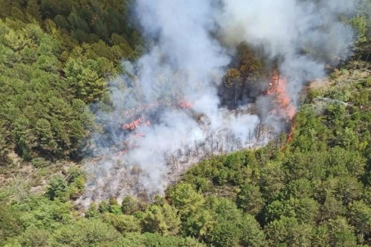 Muğla’da ormanlık alanda yangın çıktı haberinin görseli