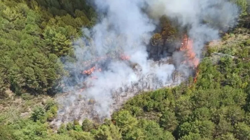 Muğla’da ormanlık alanda yangın çıktı haberinin görseli