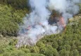 Muğla’da ormanlık alanda yangın çıktı