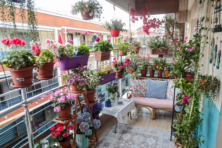 Karşıyaka'dan yarışma: En güzel balkon ve bahçeler seçiliyor!