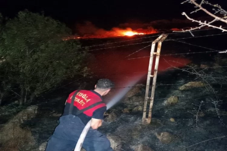 Bodrum’da otluk alanda yangın çıktı!   haberinin görseli