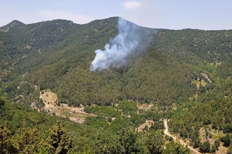 Hatay yanıyor: Müdahaleler başladı haberinin görseli