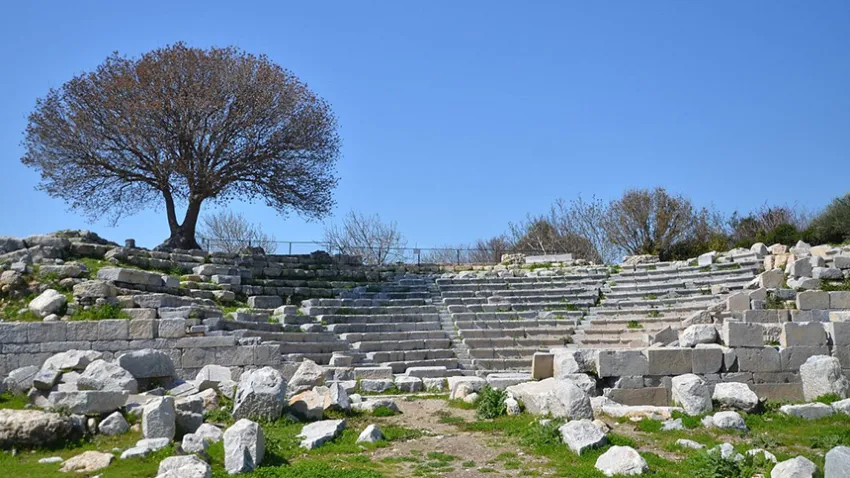 teos-ilkses