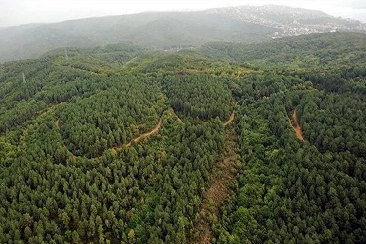 Kütahya’da ormana girişler yasaklandı!