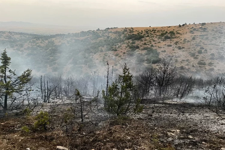 Afyonkarahisar’da orman yangını: 1 kişi hastaneye kaldırıldı