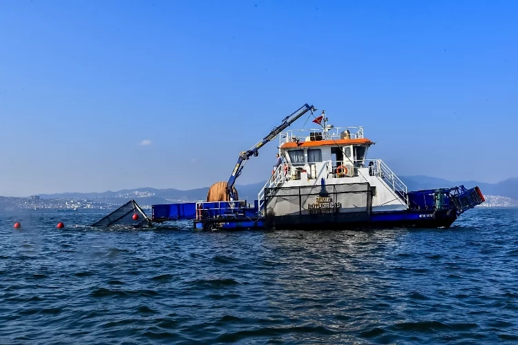 İzmir Körfez’i nefes alacak: Deniz patlıcanları görev başında haberinin görseli