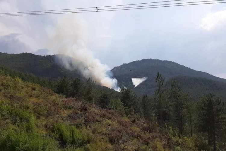 Bolu’nun ciğerleri yanmaya başladı… Mudurnu’da orman yangını