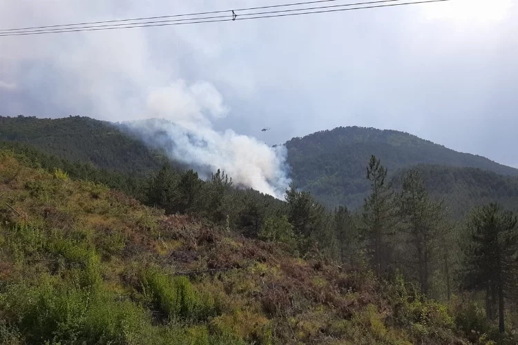 Bolu’da ormanlık alanda yangın çıktı!