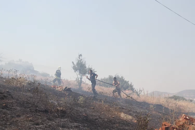 Manisa’da çıkan yangında zarar büyük