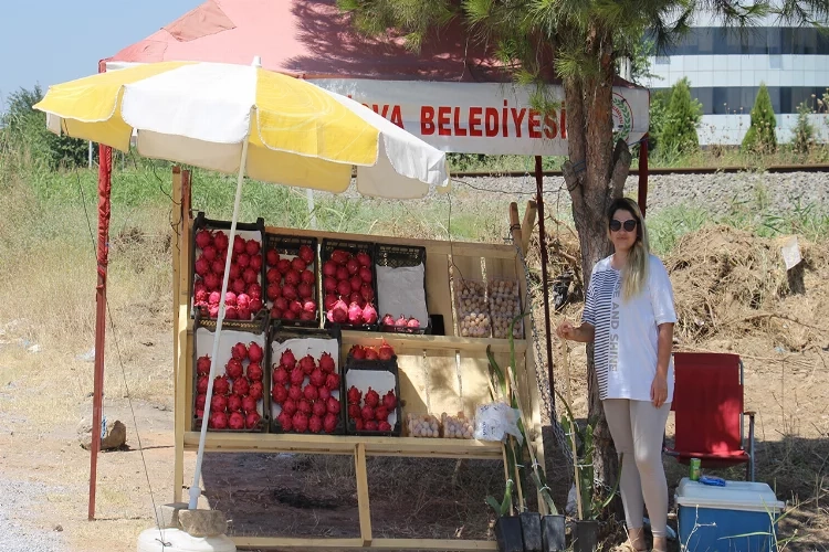 Yediği meyve hayatını değiştirdi