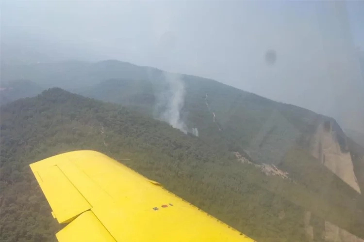 İzmir Menderes’te korkutan orman yangını