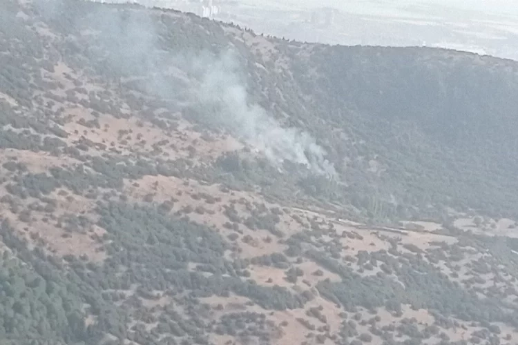 İzmir'de iki ayrı noktada orman yangını haberinin görseli